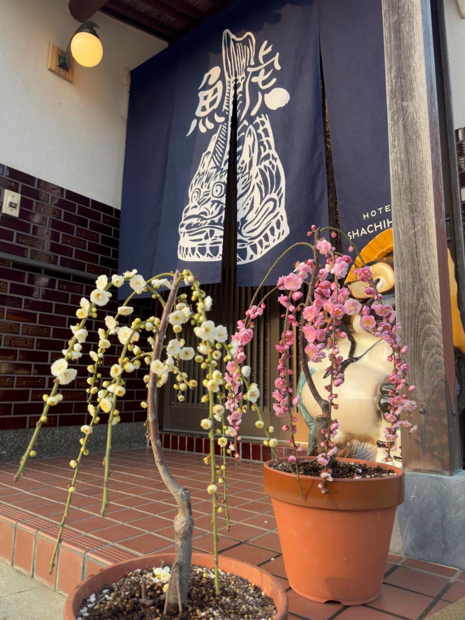 Villa Shachihoko 海辺の一棟貸切ヴィラ しゃちほこ *